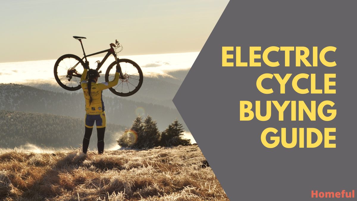 life cycle electric bike review